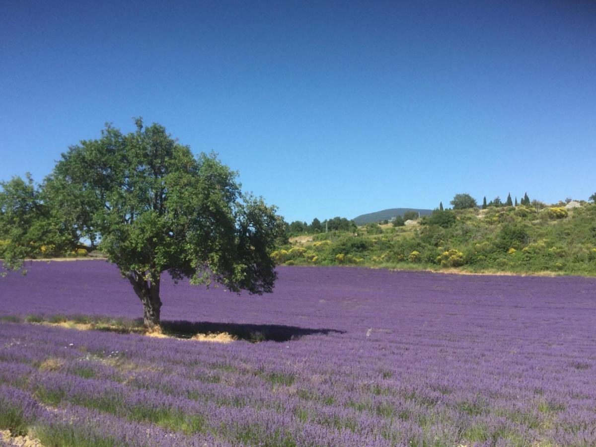 Le Jardin De Lau Βίλα Aubignan Εξωτερικό φωτογραφία