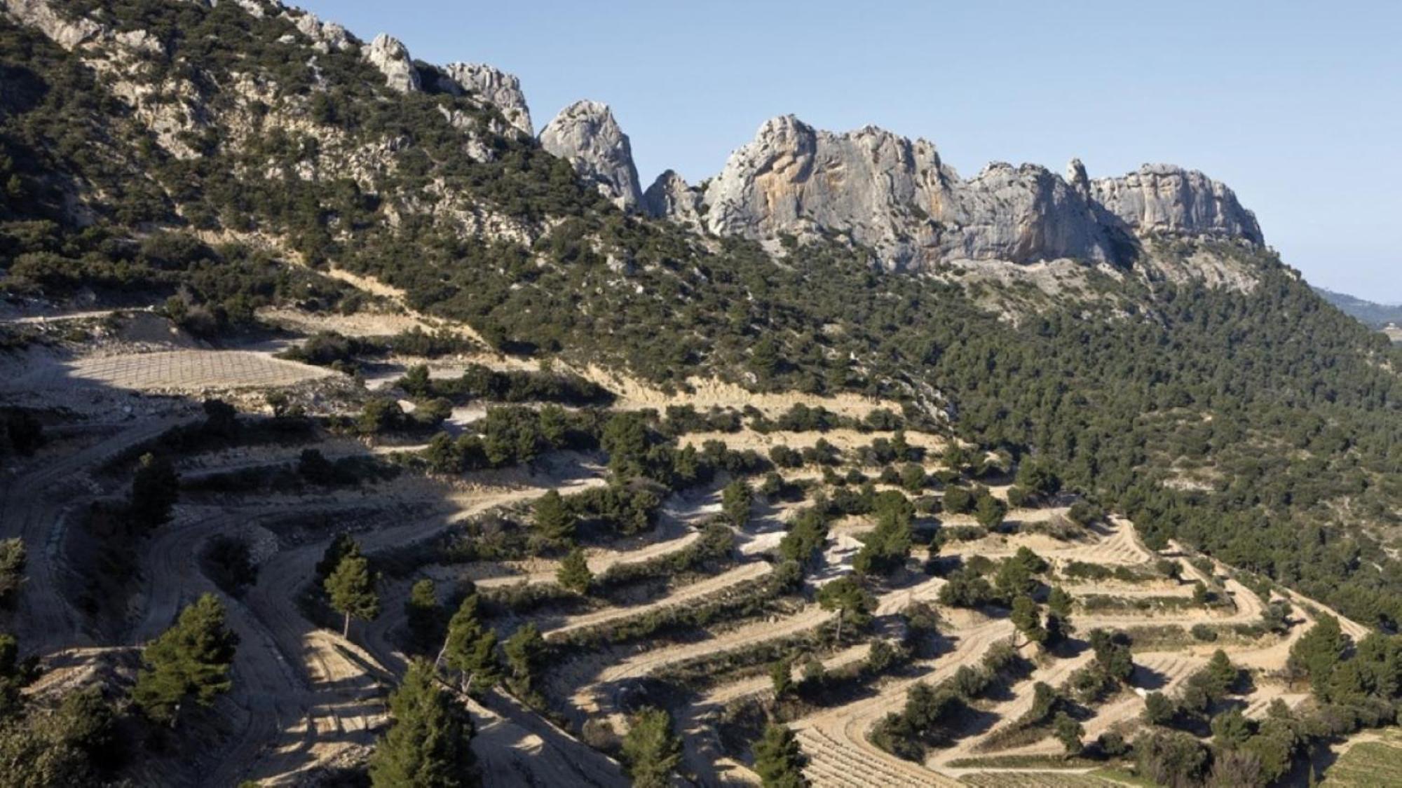 Le Jardin De Lau Βίλα Aubignan Εξωτερικό φωτογραφία