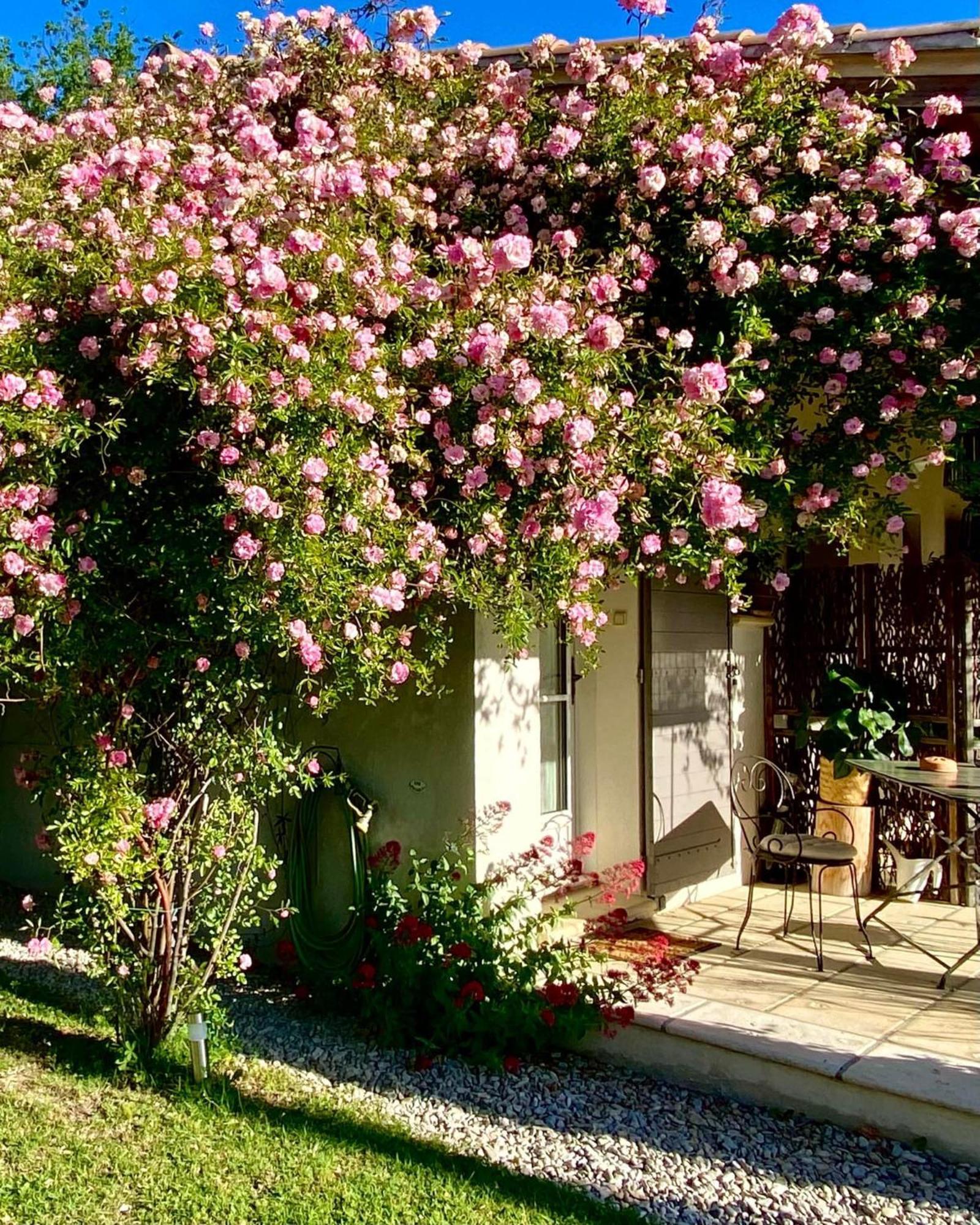 Le Jardin De Lau Βίλα Aubignan Εξωτερικό φωτογραφία