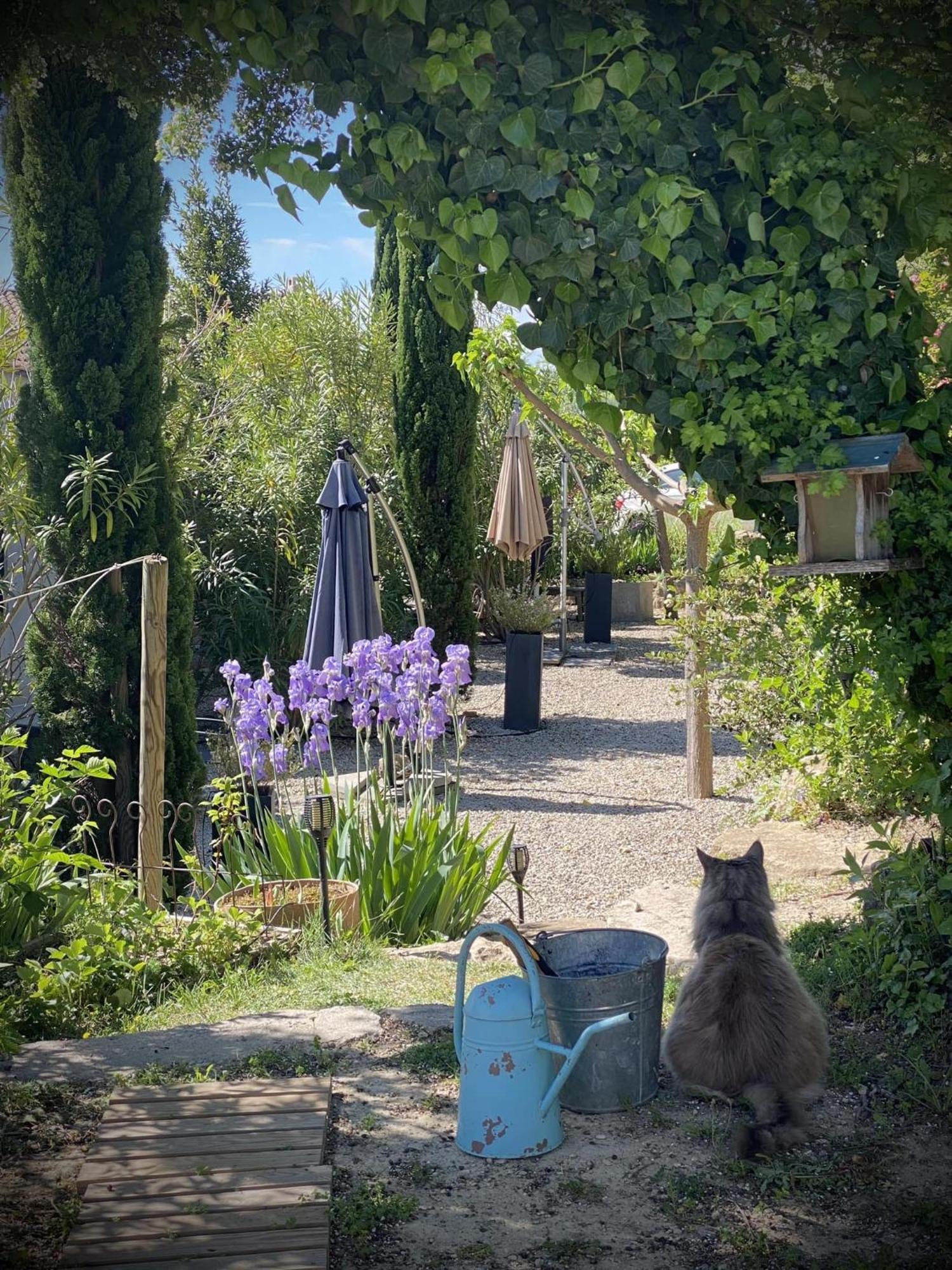 Le Jardin De Lau Βίλα Aubignan Εξωτερικό φωτογραφία